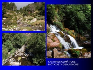 FACTORES CLIMÁTICOS,
BIÓTICOS Y GEOLÓGICOS

 