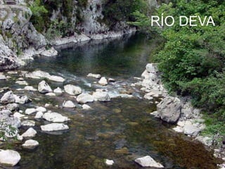 RÍO DEVA

 