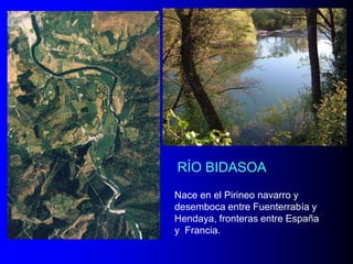 RÍO BIDASOA
Nace en el Pirineo navarro y
desemboca entre Fuenterrabía y
Hendaya, fronteras entre España
y Francia.

 