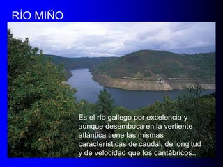 RÍO MIÑO

Es el río gallego por excelencia y
aunque desemboca en la vertiente
atlántica tiene las mismas
características de caudal, de longitud
y de velocidad que los cantábricos..

 