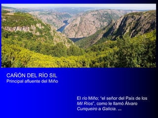 CAÑÓN DEL RÍO SIL
Principal afluente del Miño

El río Miño; “el señor del País de los
Mil Ríos”, como le llamó Álvaro
Cunqueiro a Galicia. ...

 