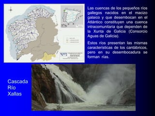 Las cuencas de los pequeños ríos
gallegos nacidos en el macizo
galaico y que desembocan en el
Atlántico constituyen una cuenca
intracomunitaria que dependen de
la Xunta de Galicia (Consorcio
Aguas de Galicia).
Estos ríos presentan las mismas
características de los cantábricos,
pero en su desembocadura se
forman rías.

Cascada
Río
Xallas

 
