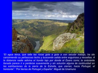 “El agua terca, que talla las rocas gota a gota a con secular trabajo, ha ido
carcomiendo su peñascoso lecho y buscando salida entre esguinces y revueltas. A
la distancia nadie adivina el hondo tajo por donde el Duero corre; la ondulante
llanada parece ir a perderse suavemente y sin solución alguna de continuidad en
las estribaciones de la sierra de la Estrella, que cierran, hacia Portugal, el
horizonte”. “Por tierras de Portugal y España”. Miguel de Unamuno

 