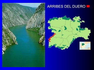 ARRIBES DEL DUERO

 