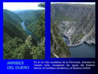 ARRIBES
DEL DUERO

Es el río más caudaloso de la Península, atraviesa la
meseta norte, recogiendo las aguas del Sistema
Ibérico, la Cordillera cantábrica y el Sistema Central

 