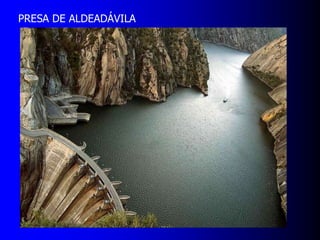 PRESA DE ALDEADÁVILA

 