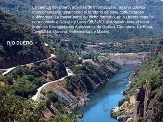 La cuenca del Duero, además de internacional, es una cuenca
intercomunitaria, abarcando el territorio de siete comunidades
autónomas. La mayor parte de dicho territorio, en su tramo español
corresponde a Castilla y León (98,32%), distribuyéndose el resto
entre las Comunidades Autónomas de Galicia, Cantabria, La Rioja,
Castilla-La Mancha, Extremadura y Madrid.

RÍO DUERO

 