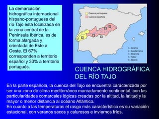 La demarcación
hidrográfica internacional
hispano-portuguesa del
río Tajo está localizada en
la zona central de la
Península Ibérica, es de
forma alargada y
orientada de Este a
Oeste. El 67%
corresponden a territorio
español y 33% a territorio
portugués.

CUENCA HIDROGRÁFICA
DEL RÍO TAJO

En la parte española, la cuenca del Tajo se encuentra caracterizada por
ser una zona de clima mediterráneo marcadamente continental, con las
particularidades comarcales lógicas creadas por la altitud, la latitud y la
mayor o menor distancia al océano Atlántico.
En cuanto a las temperaturas el rasgo más característico es su variación
estacional, con veranos secos y calurosos e inviernos fríos.

 