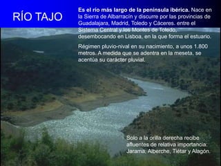 RÍO TAJO

Es el río más largo de la península ibérica. Nace en
la Sierra de Albarracín y discurre por las provincias de
Guadalajara, Madrid, Toledo y Cáceres. entre el
Sistema Central y los Montes de Toledo,
desembocando en Lisboa, en la que forma el estuario.
Régimen pluvio-nival en su nacimiento, a unos 1.800
metros. A medida que se adentra en la meseta, se
acentúa su carácter pluvial.

Solo a la orilla derecha recibe
afluentes de relativa importancia:
Jarama, Alberche, Tiétar y Alagón.

 