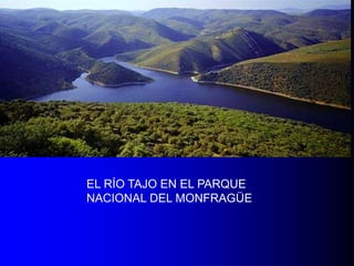 EL RÍO TAJO EN EL PARQUE
NACIONAL DEL MONFRAGÜE

 