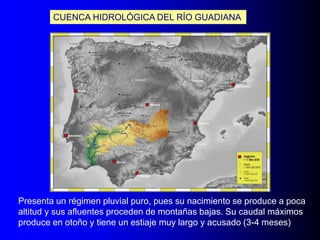 CUENCA HIDROLÓGICA DEL RÍO GUADIANA

Presenta un régimen pluvial puro, pues su nacimiento se produce a poca
altitud y sus afluentes proceden de montañas bajas. Su caudal máximos
produce en otoño y tiene un estiaje muy largo y acusado (3-4 meses)

 