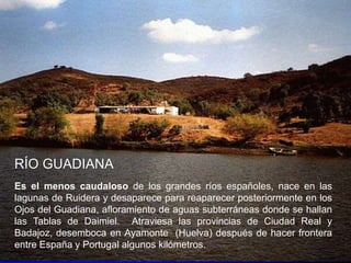 RÍO GUADIANA
Es el menos caudaloso de los grandes ríos españoles, nace en las
lagunas de Ruidera y desaparece para reaparecer posteriormente en los
Ojos del Guadiana, afloramiento de aguas subterráneas donde se hallan
las Tablas de Daimiel. Atraviesa las provincias de Ciudad Real y
Badajoz, desemboca en Ayamonte (Huelva) después de hacer frontera
entre España y Portugal algunos kilómetros.

 