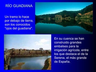 RÍO GUADIANA
Un tramo lo hace
por debajo de tierra,
son los conocidos
"ojos del guadiana".

En su cuenca se han
construido grandes
embalses para la
irrigación agrícola, entre
los que destaca el de la
Serena, el más grande
de España.

 