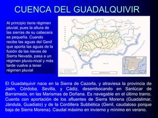 CUENCA DEL GUADALQUIVIR
Al principio tiene régimen
pluvial, pues la altura de
las sierras de su cabecera
es pequeña. Cuando
recibe las aguas del Genil
que aporta las aguas de la
fusión de las nieves de
Sierra Nevada, pasa a un
régimen pluvio-nival y más
tarde vuelve a tener
régimen pluvial

El Guadalquivir nace en la Sierra de Cazorla, y atraviesa la provincia de
Jaén, Córdoba, Sevilla, y Cádiz, desembocando en Sanlúcar de
Barrameda, en las Marismas de Doñana. Es navegable en el último tramo.
Cuenta con aportación de los afluentes de Sierra Morena (Guadalimar,
Jándula, Guadiato) y de la Cordillera Subbética (Genil, caudaloso porque
baja de Sierra Morena). Caudal máximo en invierno y mínimo en verano.

 