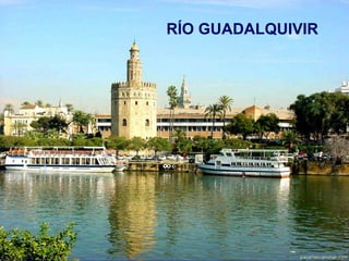RÍO GUADALQUIVIR

 