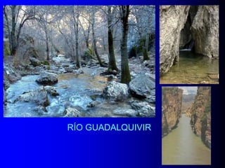 RÍO GUADALQUIVIR

 