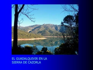 EL GUADALQUIVIR EN LA
SIERRA DE CAZORLA

 