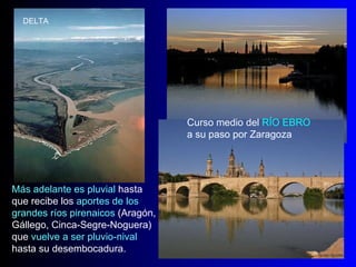 Curso medio del  RÍO EBRO  a su paso por Zaragoza Más adelante es pluvial  hasta que recibe los  aportes de los grandes ríos pirenaicos  (Aragón, Gállego, Cinca-Segre-Noguera) que  vuelve a ser pluvio-nival  hasta su desembocadura. DELTA 