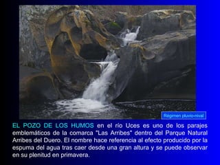 EL POZO DE LOS HUMOS  en el río Uces es uno de los parajes emblemáticos de la comarca "Las Arribes" dentro del Parque Natural Arribes del Duero. El nombre hace referencia al efecto producido por la espuma del agua tras caer desde una gran altura y se puede observar en su plenitud en primavera.  Régimen pluvio-nival 