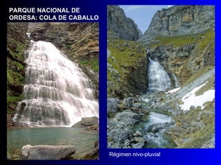 PARQUE NACIONAL DE ORDESA: COLA DE CABALLO Régimen nivo-pluvial 