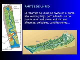 PARTES DE UN RÍO El recorrido de un río se divide en el curso alto, medio y bajo, pero además, un río puede tener varios elementos como afluentes, embalses, canalizaciones… 