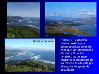 ESTUARIO : extensión marina próxima a la desembocadura de un río, en la que las interacciones del mar y el río son notables; las de aquel mediante el mecanismo de las mareas, las de este por el importante aporte de agua dulce. ESTUARIO DEL MIÑO 