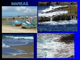 MAREAS 