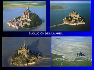 EVOLUCIÓN DE LA MAREA 