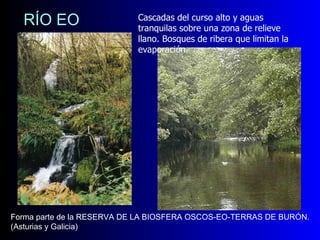 RÍO EO Cascadas del curso alto y aguas tranquilas sobre una zona de relieve llano. Bosques de ribera que limitan la evaporación. Forma parte de la RESERVA DE LA BIOSFERA OSCOS-EO-TERRAS DE BURÓN. (Asturias y Galicia) 