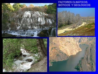 FACTORES CLIMÁTICOS, BIÓTICOS  Y GEOLÓGICOS 