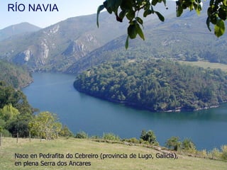 RÍO NAVIA RÍO NAVIA Nace en Pedrafita do Cebreiro (provincia de Lugo, Galicia), en plena Serra dos Ancares  