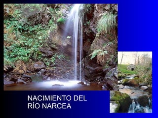 NACIMIENTO DEL RÍO NARCEA 