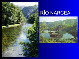 RÍO NARCEA 