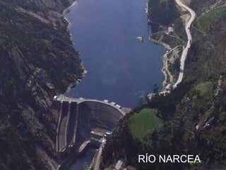 RÍO NARCEA 