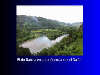 El río Narcea en la confluencia con el Nalón 