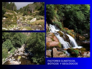 FACTORES CLIMÁTICOS, BIÓTICOS  Y GEOLÓGICOS 