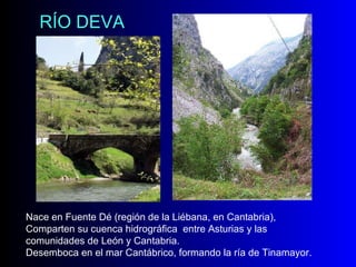 RÍO DEVA Nace en Fuente Dé (región de la Liébana, en Cantabria), Comparten su cuenca hidrográfica  entre Asturias y las comunidades de León y Cantabria.  Desemboca en el mar Cantábrico, formando la ría de Tinamayor. 