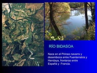RÍO BIDASOA Nace en el Pirineo navarro y desemboca entre Fuenterrabía y Hendaya, fronteras entre España y  Francia. 