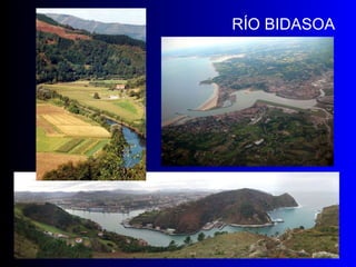 RÍO BIDASOA 