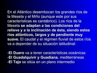 En el Atlántico desembocan los grandes ríos de la Meseta y el Miño (aunque este por sus características es cantábrico). Los ríos de la Meseta  se adaptan a las condiciones del relieve y a la inclinación de ésta, siendo estos ríos atlánticos, largos y de pendiente muy suave.  El caudal y el régimen fluvial de estos ríos va a depender de su situación latitudinal: - El Duero  va a tener características oceánicas - El Guadalquivir y Guadiana , mediterráneas - El Tajo  se sitúa en un plano intermedio  