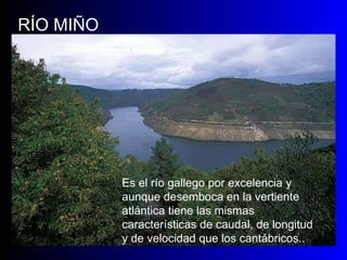RÍO MIÑO Es el río gallego por excelencia y aunque desemboca en la vertiente atlántica tiene las mismas características de caudal, de longitud y de velocidad que los cantábricos..  