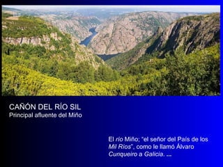 CAÑÓN DEL RÍO SIL Principal afluente del Miño El  río  Miño; “el señor del País de los  Mil Ríos ”, como le llamó Álvaro  Cunqueiro  a  Galicia .  ... 
