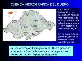 CUENCA HIDROGRÁFICA DEL DUERO  La cuenca hidrográfica del Duero tiene carácter transfronterizo y de el 81% corresponde a territorio español y el 19% restante, a territorio portugués. En su curso alto es pluvio-nival y en su descenso tiene carácter pluvial La Confederación Hidrográfica del Duero gestiona la parte española de la cuenca y participa en los grupos de trabajo hispano-portugueses. 