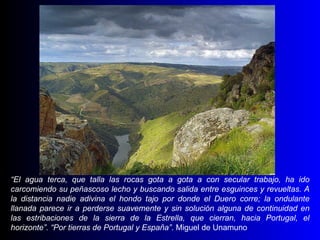 “ El agua terca, que talla las rocas gota a gota a con secular trabajo, ha ido carcomiendo su peñascoso lecho y buscando salida entre esguinces y revueltas. A la distancia nadie adivina el hondo tajo por donde el Duero corre; la ondulante llanada parece ir a perderse suavemente y sin solución alguna de continuidad en las estribaciones de la sierra de la Estrella, que cierran, hacia Portugal, el horizonte”. “Por tierras de Portugal y España” . Miguel de Unamuno 