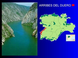 ARRIBES DEL DUERO  