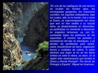 “ En uno de los repliegues de ese terreno se ocultan los hondos tajos, las encrespadas gargantas, los imponente cuchillos, los erguidos esfayaderos, bajo los cuales, allá, en lo hondo, vive y corre el Duero, ya espumarajeando las rocas que aún no han cedido a su tozuda labra, ya despenándose en desniveles, ya parándose un momento a descansar en angostos remansos, ya, por fin, zumbando bajos los peñascos en las espundias. A trechos las paredes y escotaduras del tajo se adulciguan, y se tienden las pendientes para recibir, sobre revestimiento de tierra, vegetación bravía y cuidados de cultivo. A estos declives que bajan al río se les llama arribes en toda la ribera, es decir, en la región toda salamanquina que bordea el Duero y afronta Portugal". Por tierras de Portugal y España” . Miguel de Unamuno  