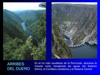 ARRIBES DEL DUERO Es el río más caudaloso de la Península, atraviesa la meseta norte, recogiendo las aguas del Sistema Ibérico, la Cordillera cantábrica y el Sistema Central   