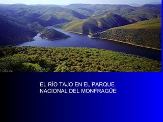 EL RÍO TAJO EN EL PARQUE NACIONAL DEL MONFRAGÜE 