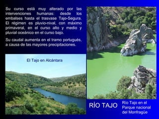 RÍO TAJO Su curso está muy alterado por las intervenciones humanas: desde los embalses hasta el trasvase Tajo-Segura.   El régimen es pluvio-nival, con máximo primaveral, en el curso alto y medio y pluvial oceánico en el curso bajo. Su caudal aumenta en el tramo portugués, a causa de las mayores precipitaciones.  Río Tajo en el Parque nacional del Monfragüe El Tajo en Alcántara 