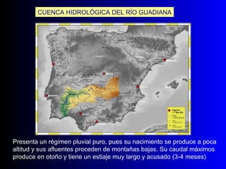 CUENCA HIDROLÓGICA DEL RÍO GUADIANA Presenta un régimen pluvial puro, pues su nacimiento se produce a poca altitud y sus afluentes proceden de montañas bajas. Su caudal máximos produce en otoño y tiene un estiaje muy largo y acusado (3-4 meses) 